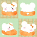💭わたあめ｡5/27誕生日　🐹ハムスター募集中