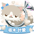 夜ちゃん😻🐾