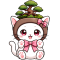 しまかた