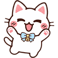 きっちん🧑🏻‍🍳