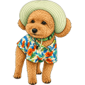 ノアママ🌺🍌晴月🍌🦍🐱🐶✈️☁️