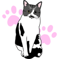 かっちゃん