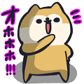 まいどっ