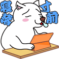 こいくち(旧こうくち)※ギフメマジでやめてね♡