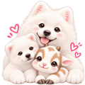 み@JUNON魚住相太①9時半~10時②22時~23時半