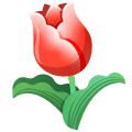 Gift Icon