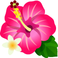 Gift Icon