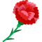 Gift Icon