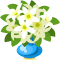 Gift Icon
