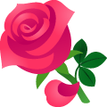Gift Icon
