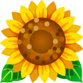 Gift Icon