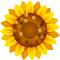 Gift Icon