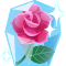 Gift Icon