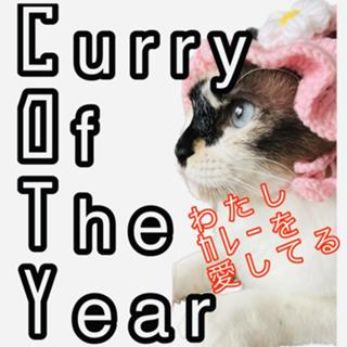 Curry Of The Year～わたしカレーを愛してる