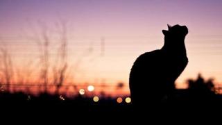 気まぐれ、よしみん。◖ฺ|´⌣`*|◗·˳♪⁎