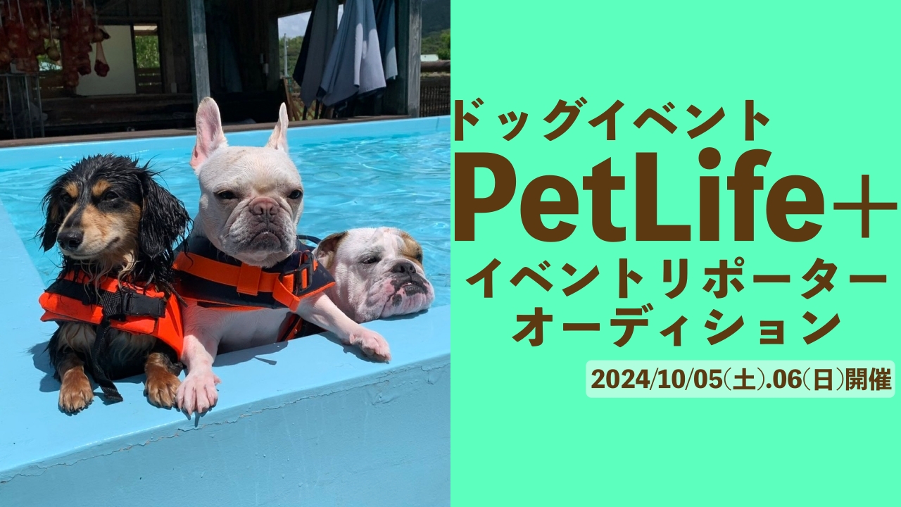ドッグイベント「PetLife+」イベントリポーターオーディション!