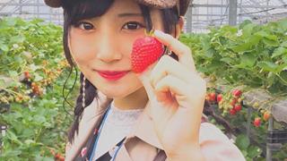 ゆきはなちゃんねる