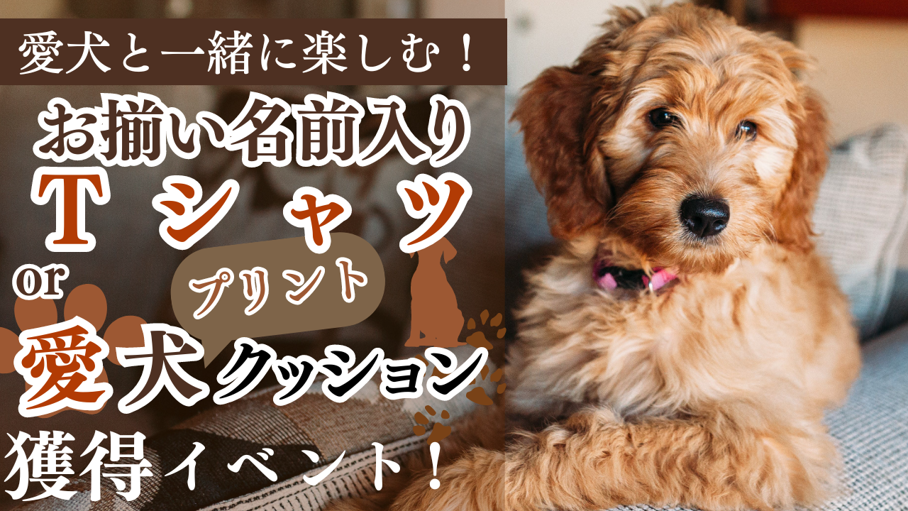 愛犬と一緒に楽しむ!お揃い名前入りTシャツor愛犬クッション獲得イベント!Vol.2