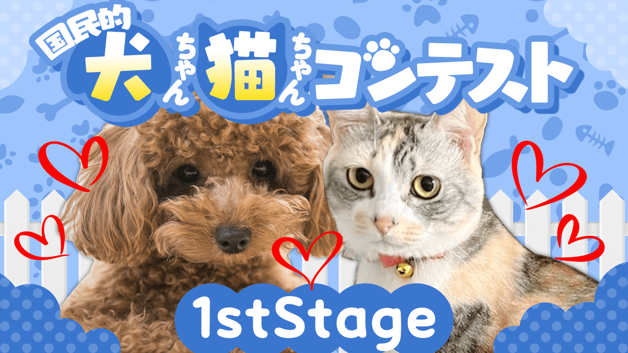 【1stStage】第2回国民的犬ちゃん・猫ちゃんコンテスト