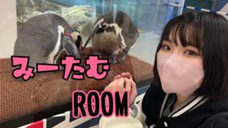 みーたむのゆったりroom Showroom ショールーム みーたむのゆったりroom Showroom ショールーム