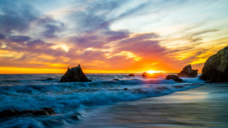 ♫種部屋です♫