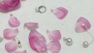 美人百花 メロディ