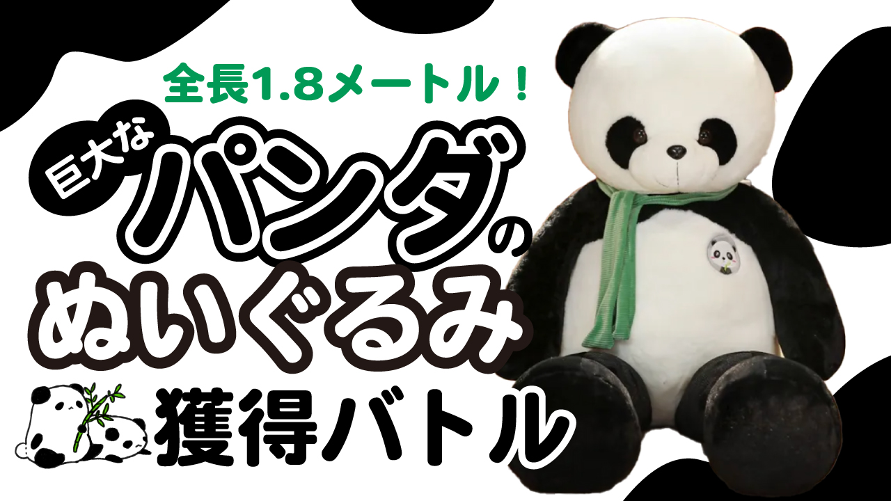 巨大なパンダのぬいぐるみ獲得バトル