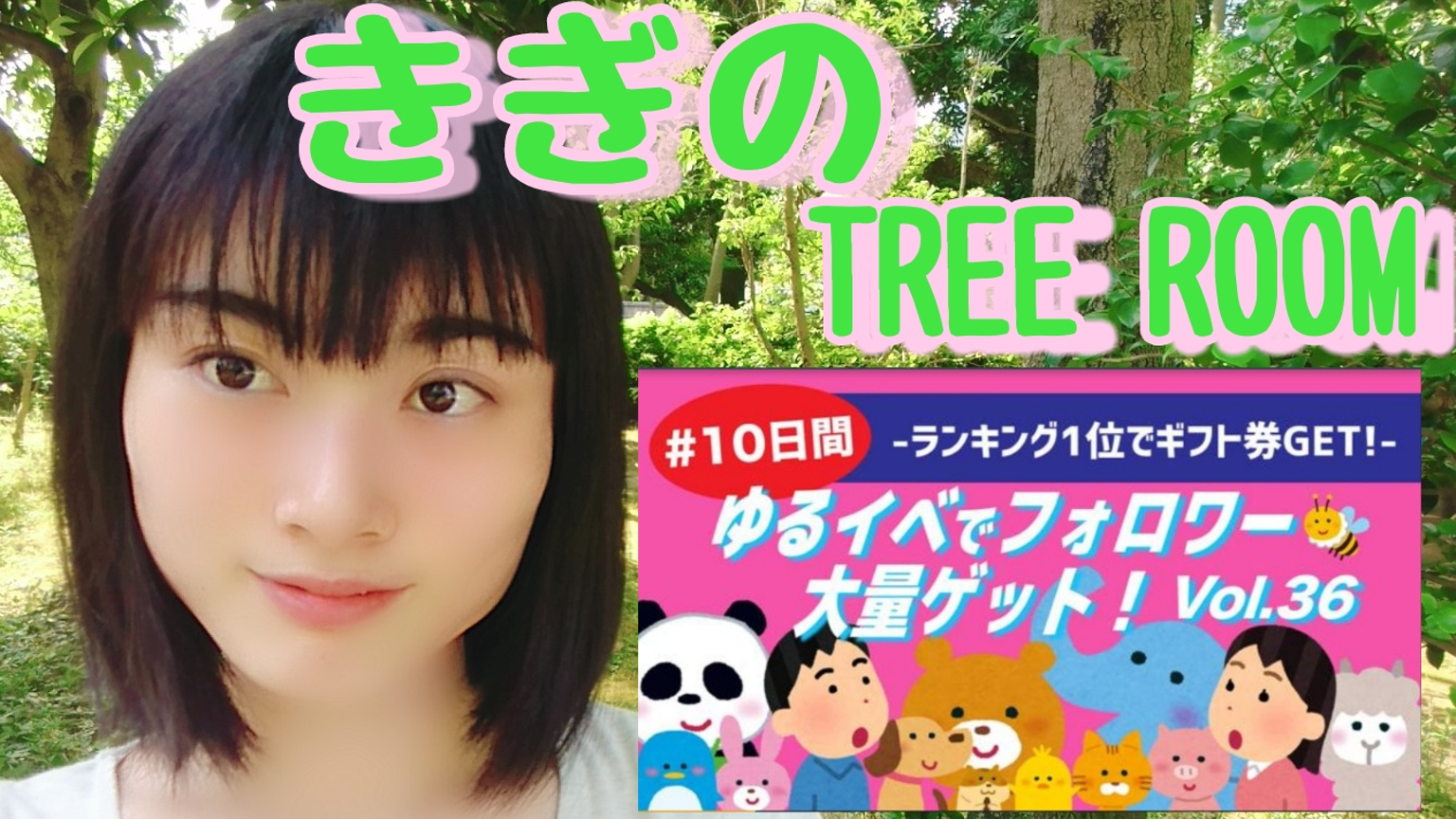 きぎのTree Room｜SHOWROOM(ショールーム)