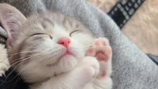 ✲雪の華咲く頃✲