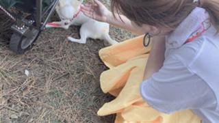 えりりんのりんりん🍎💕応援room૮ .  ̫ . ა❤︎