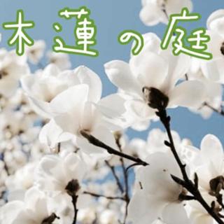 ⭐木蓮の庭 ⭐ゆず