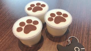 たいみ夜から朝配信