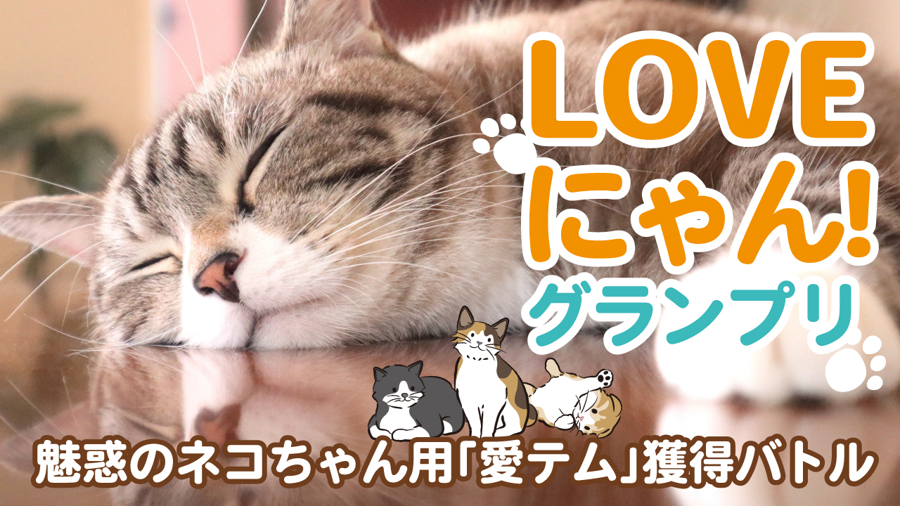 第7回『LOVEにゃん!グランプリ』ー魅惑のネコちゃん用「愛テム」獲得バトルー