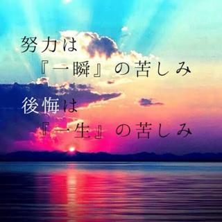 まっちゃんのまったり癒しをお届け✨