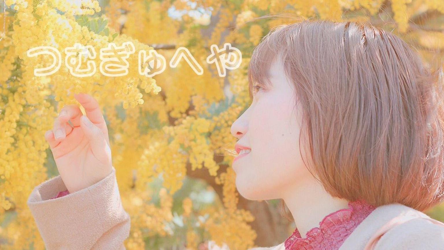 つむぎ(全体的 横段)合わせ 2407023 ボロかっ