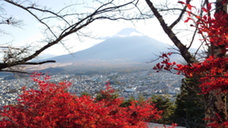 あおいうどん屋さん