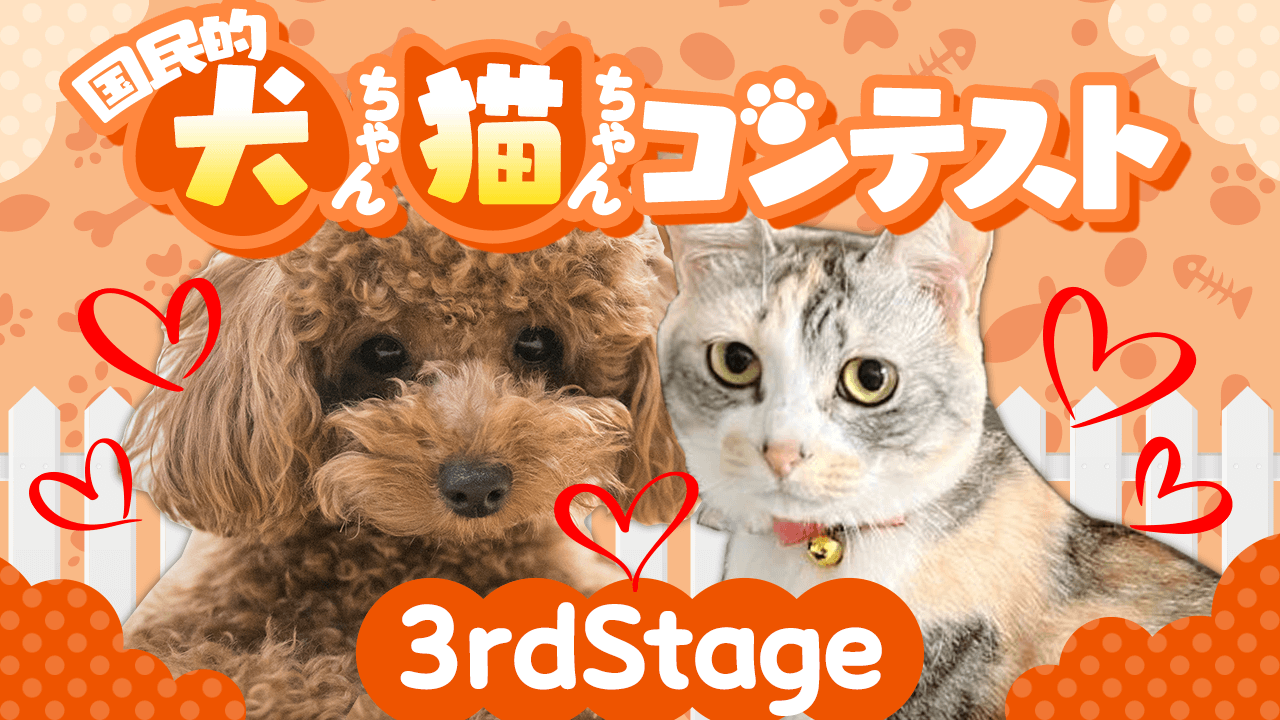 【3rdStage】第2回国民的犬ちゃん・猫ちゃんコンテスト