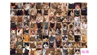 猫縁〜ねこえん〜