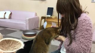 【アカウント移動します】人生みんなが主人公