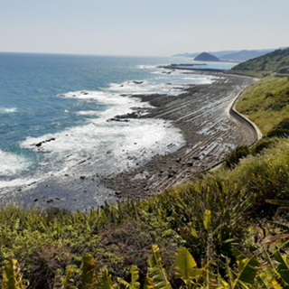 719　🌴歌ってるだけのroomです🌴