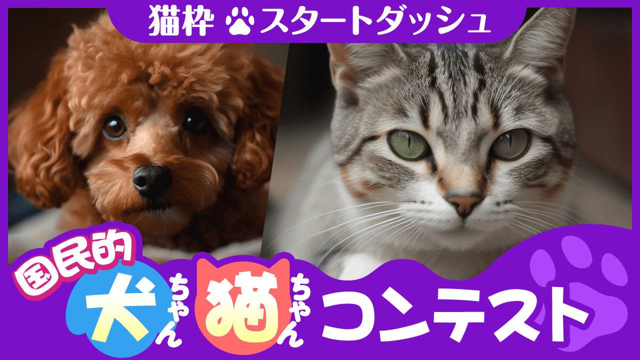 【猫枠-スタートダッシュ】国民的犬ちゃん・猫ちゃんコンテスト