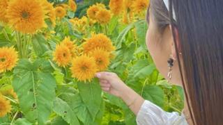 スミルのshowroom