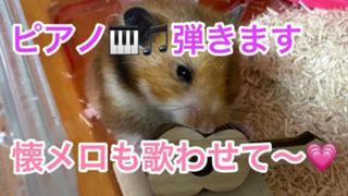 bluemoonのお部屋(*ˊ˘ˋ*)｡♪:*°