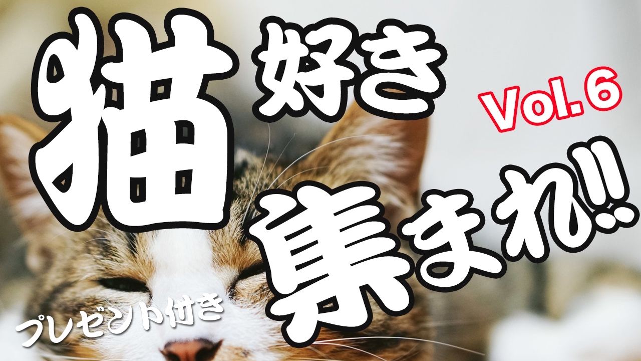 猫好き　集まれ！！　vol.6