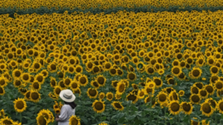 のんちゃん♪のとちおとめ꒰ঌ𓂂𓈒🍓𓈒𓂂໒꒱ルーム