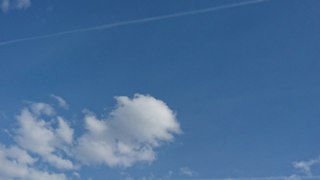 TANE&応援部屋ᕕ( ᐛ )ᕗ