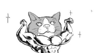 まちょルームᕦ(ò_óˇ)ᕤ