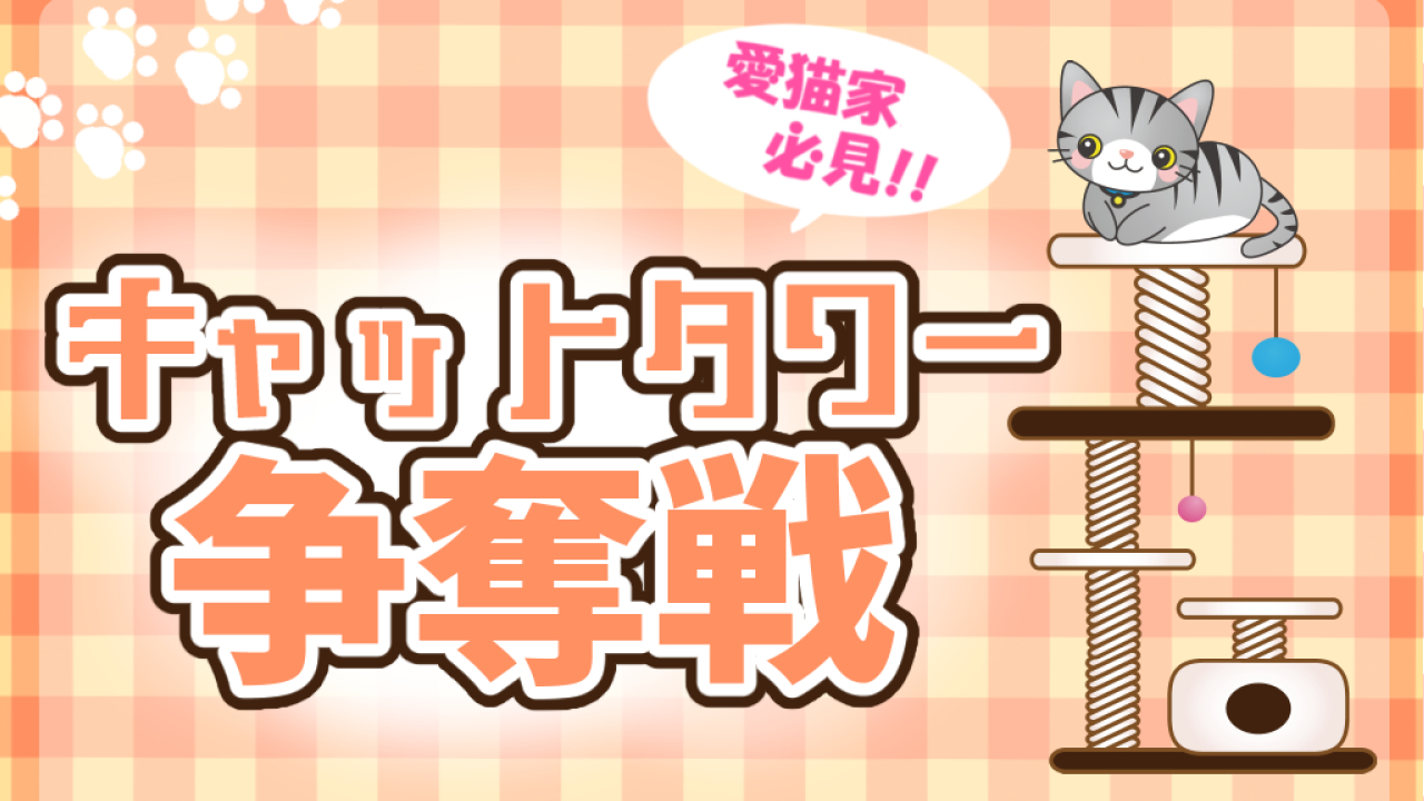 愛猫家必見!キャットタワー争奪戦