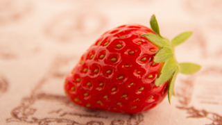 🥳さん大好きルーム❤