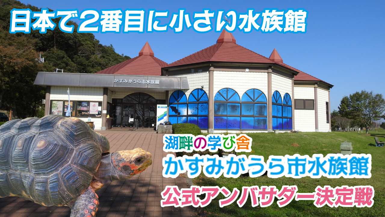 『かすみがうら市水族館』公式アンバサダー決定戦